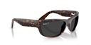 RAY BAN 0RB2289