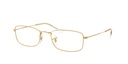 RAY BAN 0RX6647