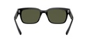 RAY BAN 0RB2190