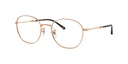 RAY BAN 0RX6509