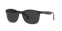 RAY BAN 0RB4374