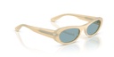 VOGUE 0VO5695SU