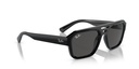 RAY-BAN 0RB4397